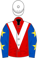 Noel Fehily Racing Syndicates silks