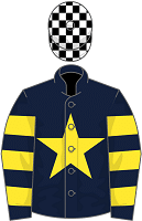 Pendil Partnership silks