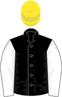 Twiston-Davies silks