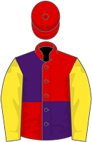 Brocade Racing silks