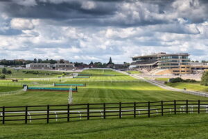 Cheltenham November Meeting