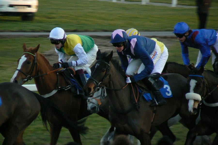 Exeter races