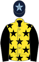 Fameaftertheglory silks