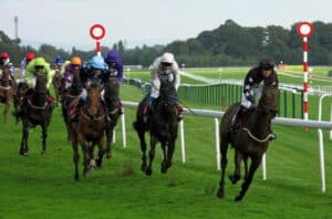 Haydock races preview