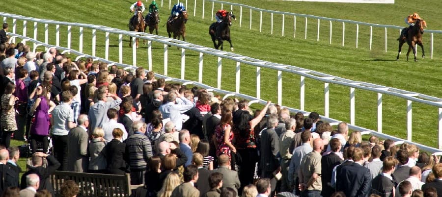 Newbury races