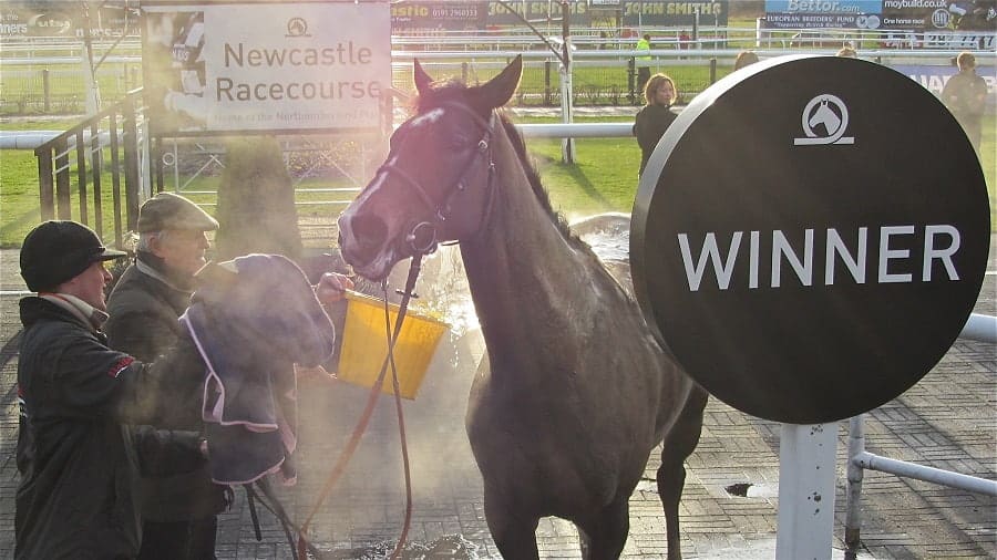 Newcastle races preview 2024 Fighting Fifth Hurdle