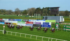 Chepstow Races Preview for 27 December – Horses to Note on Welsh National Day featured image