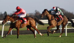 Kempton Racing Preview for 27 December – Ballybyurn & Sir Gino Clash in Wayward Lad featured image