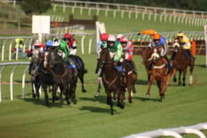 Market Rasen Boxing Day racing