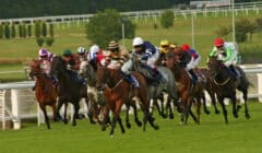 Sandown Races Preview – Betfair Tingle Creek Festival Race by Race Analysis featured image