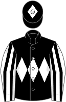 War Lord aka Wychwood Partnership silks