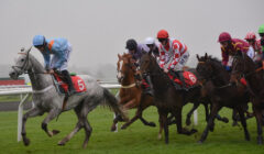 Kempton Races Preview for 22 February – Analysis of Final Cheltenham Trials featured image