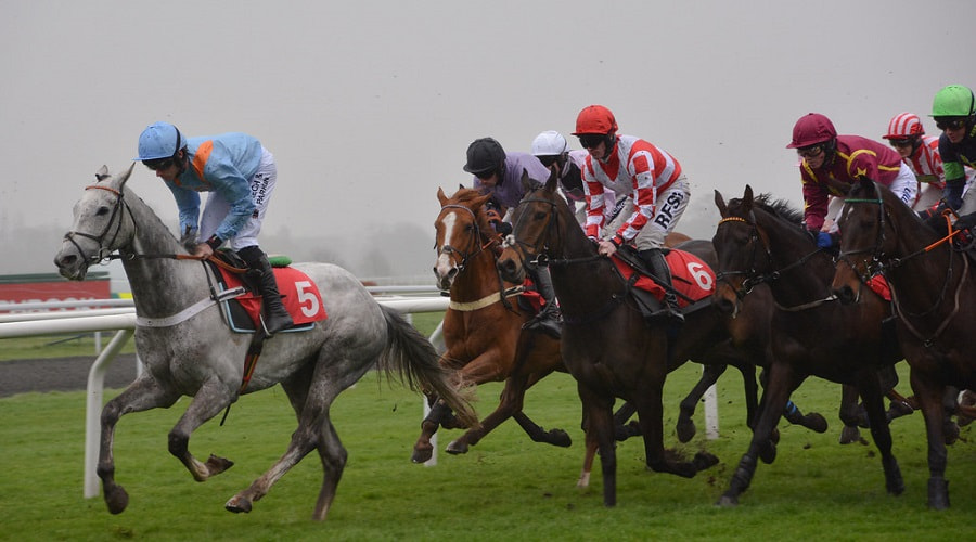 Kempton races preview 11 January