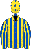 Lady Vega Allen silks