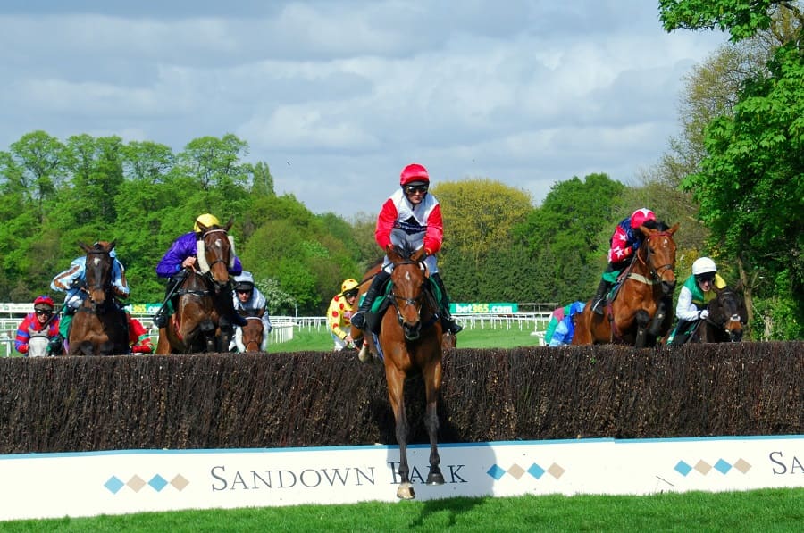 Sandown racing preview for 4 January