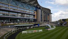 Ascot Races Preview – Pic D’Orhy & L’Homme Presse in Ascot Chase Rematch featured image