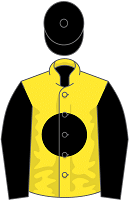 Goodwin Racing silks