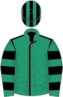 Navajo Indy silks