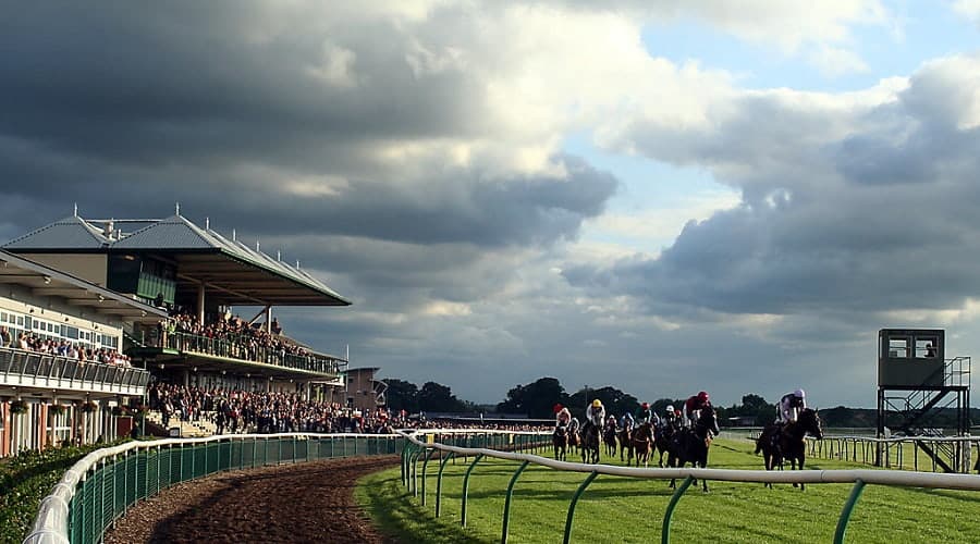 Warwick races preview