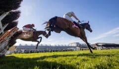 Punchestown Festival 2025 Day 1 Preview – Fact To File & Marine Nationale in Champion Chase Clash featured image