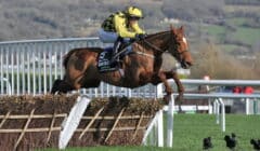 Punchestown Festival 2025 Day 4 Preview – Fascinating Champion Hurdle Rematch featured image