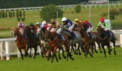 Brigadier Gerard Evening Preview – Sandown Group 3s Best of the Action featured image