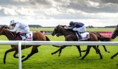 Irish 2000 Guineas 2025 Preview – Runners Guide as Juddmonte & Coolmore Run 3 Each in Curragh Classic featured image