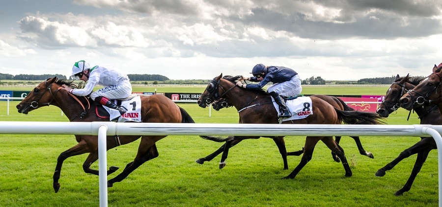 Irish 2000 Guineas 2025 preview