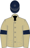 Hambleton Racing silks