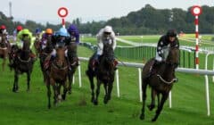 Haydock Park Races Preview for Temple Stakes Saturday, 24 May – Sprinters Prep for Royal Ascot featured image