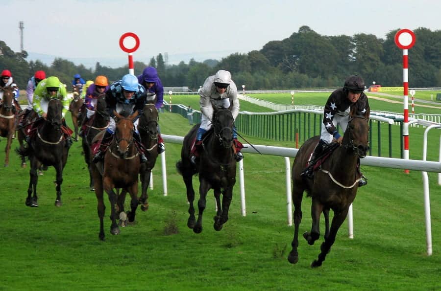 Haydock Park races preview for Temple Stakes