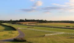ITV Racing Preview for 10 May – Lingfield, Ascot & Haydock Feature on Terrestrial Coverage featured image