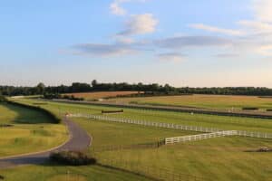 ITV Racing 10 May preview including Lingfield