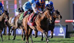Irish 1000 Guineas 2025 Preview – Runners Guide to Dozen Fillies Contesting Curragh Classic featured image