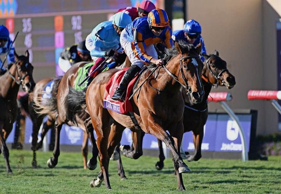 Irish 1000 Guineas 2025 preview