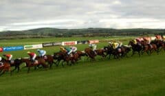 Punchestown Festival 2025 Day 5 Preview featured image
