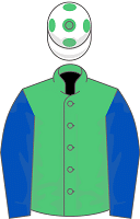 Rashabar silks