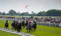 York Races Preview for 31 May – Bronte Cup Headlines Spring Saturday featured image