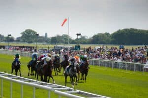 York races preview for 31 May
