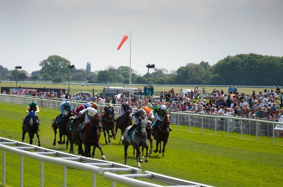 York races preview for 31 May