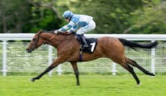 King Edward VII Stakes 2025 Preview – Runners Guide to Royal Ascot Equivalent of The Derby featured image