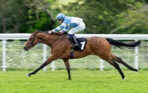 King Edward VII Stakes 2025 preview