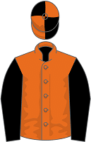 Arabian Dusk silks