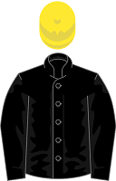 Bjorn Nielsen silks