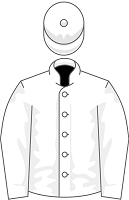 Blank silks