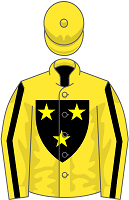 Catalina Delcarpio silks