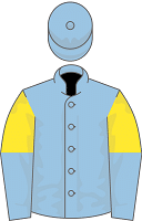 Charyn silks