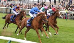 The Oaks 2025 Preview – Runners Guide as Desert Flower Heads 9 Fillies Tackling Epsom Classic featured image