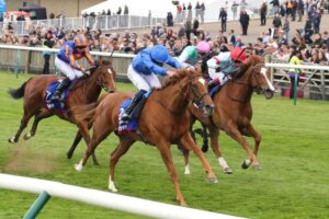 Desert Flower The Oaks 2025