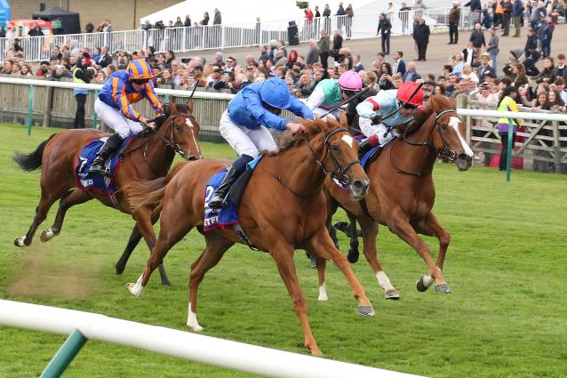 Desert Flower The Oaks 2025